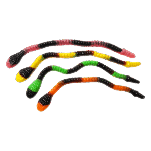 Gominolas largas con forma de anaconda en colores surtidos con acabado brillante